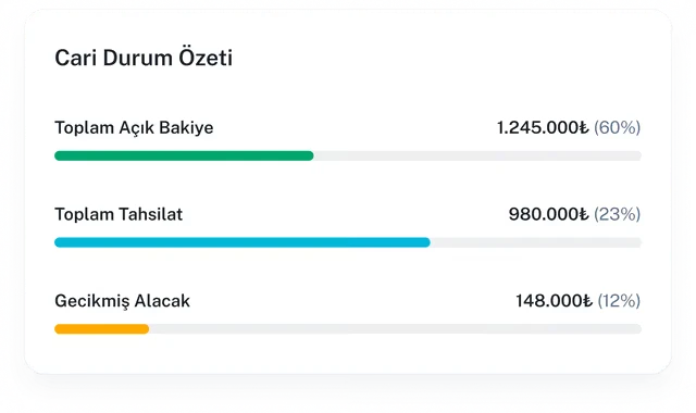Cari durum özeti